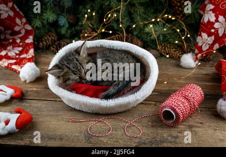 Il gattino dorme in cappello di babbo natale. Animale domestico gatto di Natale che dorme. Presenta il concetto. Ritratto di gattino. Adorabile tabby animale, primo piano divertente carta inverno. Foto Stock