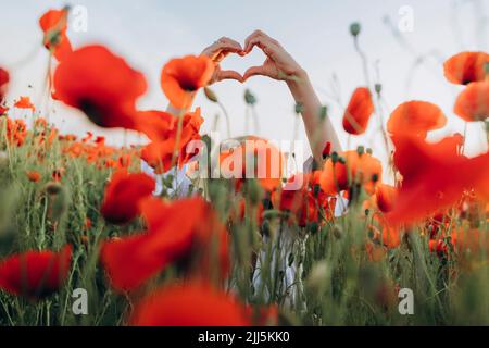 Mani di donna che fanno la forma del cuore in campo papavero Foto Stock