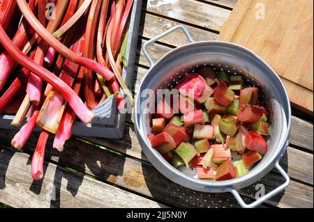 Gambi di rabarbaro appena sbucciati e tagliati Foto Stock