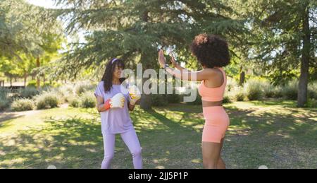 Donna anziana che pratica boxe con la figlia nel parco Foto Stock