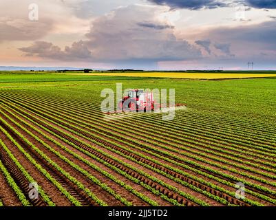 Trattore che spruzza pesticida su campo di soia Foto Stock