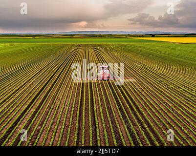 Trattore che spruzza pesticidi sul campo di soia al tramonto Foto Stock