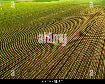 Trattore a spruzzo di pesticidi su colture di soia al tramonto Foto Stock