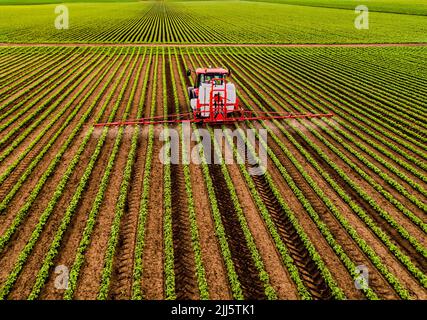 Trattore a spruzzo di pesticidi su campo di soia Foto Stock