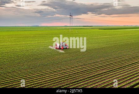 Trattore a spruzzo di pesticidi su campo di soia al tramonto Foto Stock