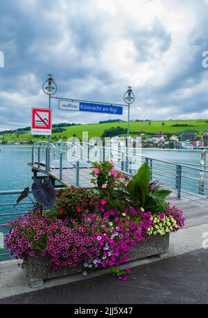 Kussnacht am Rigi, Svizzera - 7 luglio 2022: Una ciotola decorativa di fiori in un molo su un lago nella città di Kussnacht am Rigi nella CAN svizzera Foto Stock