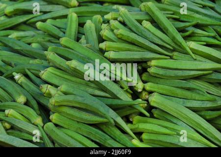 Okra fresco (dito della signora) nel mercato locale indiano, Okra al mercato agricolo. Foto Stock