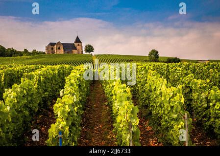 Vista attraverso i vigneti fino a una chiesa rurale sulla cima del crinale contro un cielo nuvoloso Foto Stock