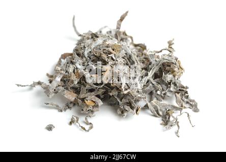 Cumuli di kelp essiccato isolati su sfondo bianco Foto Stock