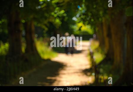 Fuori del fuoco fotografia di un uomo di coppia e di una donna che camminano via giù un percorso della linea dell'albero. Foto Stock