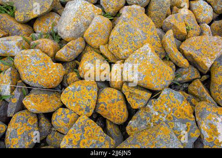 Un primo piano di rocce color giallo arancio sulla spiaggia Foto Stock