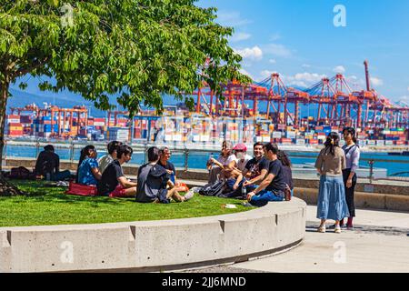 Gruppo di studenti internazionali che parlano sotto un albero sul lungomare di Vancouver nella British Columbia Canada Foto Stock