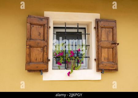 Una bella finestra tipica italiana con bar in acciaio, persiane in legno marrone su una parete intonacata gialla con una pianta di petunia viola in una pentola. Foto Stock