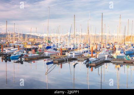 Serence luce d'ora dorata sulle barche e ormeggio a Comox marina in una giornata invernale a Vancouver Island, British Columbia, Canada con il ghiacciaio nel backgrou Foto Stock