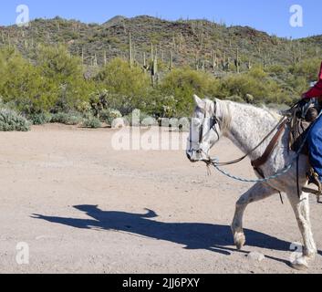 Equitazione nel deserto sotto il cielo blu Foto Stock