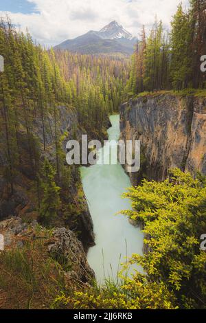 Vista panoramica del fiume Sunwapta e del Brussels Peak al Jasper National Park, nelle Montagne Rocciose di Alberta, Canada. Foto Stock