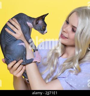 Sphynx kitten è nelle mani di una giovane donna con capelli biondi su sfondo giallo. Donna che guarda gattino e incoraggia l'animale preferito Foto Stock
