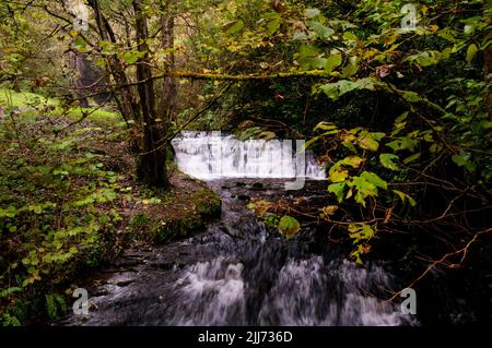 Glencar Waterfall Walk nella contea di Leitrim, Irlanda. Foto Stock