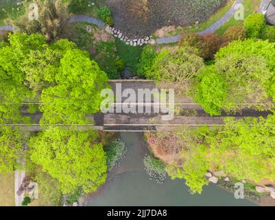 Scenario primaverile del Giardino del Rhododendron di Moshan nel Lago Orientale, Wuhan, Hubei, Cina Foto Stock