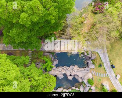 Scenario primaverile del Giardino del Rhododendron di Moshan nel Lago Orientale, Wuhan, Hubei, Cina Foto Stock