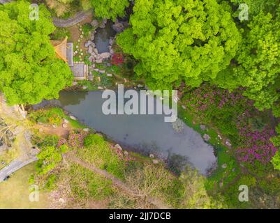 Scenario primaverile del Giardino del Rhododendron di Moshan nel Lago Orientale, Wuhan, Hubei, Cina Foto Stock