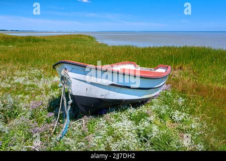 Vecchia barca da pesca abbandonata in legno in un prato verde erboso con fiori. Ancora oceano e un cielo blu nuvoloso con copyspace sullo sfondo. Perfetto Foto Stock