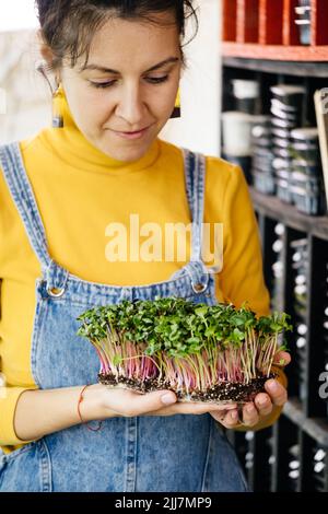 Donna in scatola con Microgreen, piccola azienda agricola privata interna verticale. Sana vitamina vegetariana fresco cibo prodotto a casa. Microgreens Foto Stock