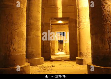 Il tempio di Kom Ombo di notte Foto Stock