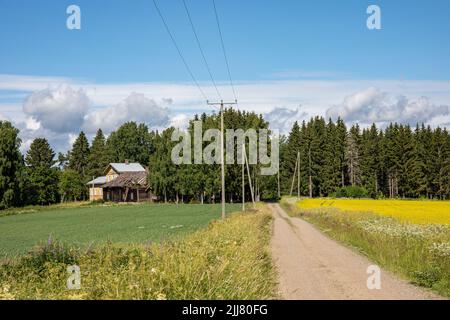 Strada sterrata o ghiaiata rurale che attraversa i campi di avena e di canola a Orivesi, Finlandia Foto Stock