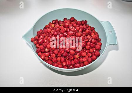 fragole fresche selezionate Foto Stock