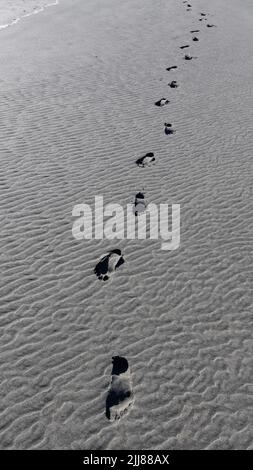 Una linea di impronte digitali passeggia lungo la sabbia bagnata di una spiaggia sabbiosa. Foto Stock