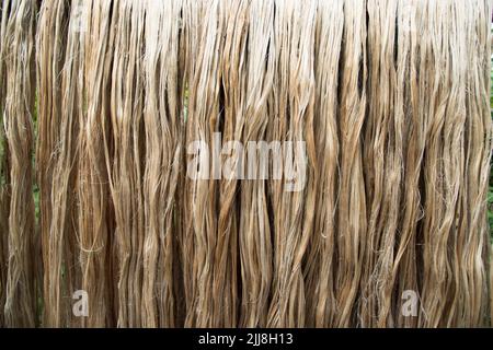 Primo piano di fibra di iuta grezza appesa sotto la luce del sole per asciugare. Tessuto e sfondo in fibra di iuta marrone Foto Stock