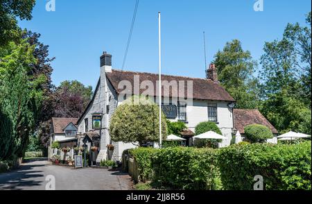 Il Bush Inn, Ovington, Hampshire basato sul fiume Itchen nel parco nazionale del sud downs. Foto Stock