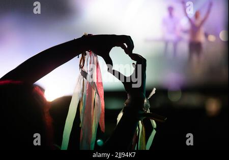 folla festeggiamenti palco luci concerto dal vivo festival di musica estiva Foto Stock