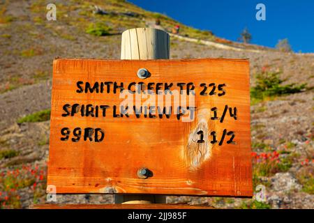 Cartello Trail presso Windy Ridge, Mt St Helens National Volcanic Monument, Washington Foto Stock