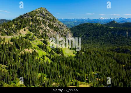 McNeeley Peak da Sourdough Ridge Trail, Mt Rainier National Park, Washington Foto Stock