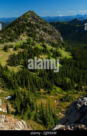 McNeeley Peak da Sourdough Ridge Trail, Mt Rainier National Park, Washington Foto Stock
