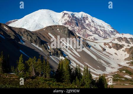Mt Rainier da Wonderland Trail, Mt Rainier National Park, Washington Foto Stock