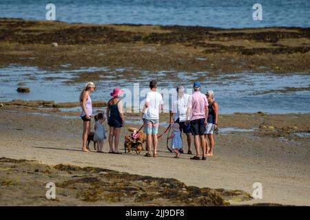 gruppo di persone insieme su una spiaggia in bassa marea camminare i loro cani insieme e parlare, cane a piedi a bembridge sull'isola di wight bassa marea. Foto Stock