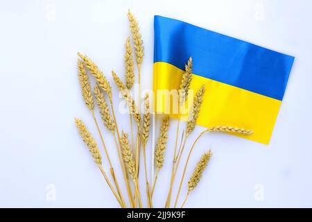 Spikelets di grano e nastri in colori della bandiera Ucraina su sfondo chiaro. Concetto di scarsità di cibo globale a causa della guerra in Ucraina Foto Stock