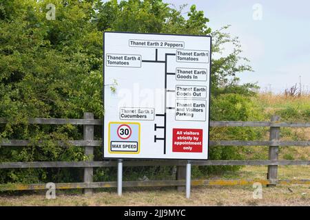 Thanet Terra pomodori, cetrioli e peperoni segno - Kent, Inghilterra, UK Foto Stock