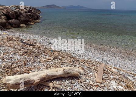 Driftwood presso la spiaggia di Agios Antonios, Tilos, Dodecaneso, Grecia. Maggio 2022.. Molla Foto Stock