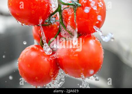 Pomodori sulla vite - Solanum lycopersicum - pomodoro rosso lavato sott'acqua risciacquato - grappolo umido di frutta/verdura grappata in un lavandino d'acciaio Foto Stock