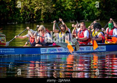 Gruppo di colleghi di lavoro, alcuni in abito fantasia, paddle loro Dragon Boat male Foto Stock