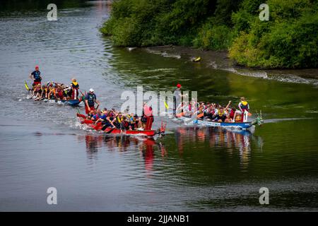 Tre Dragon Boats che corrono lungo il fiume Mersey nella competizione finale della giornata Foto Stock