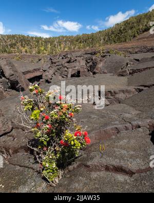 Scene drammatiche al Parco Nazionale dei Vulcani, Big Island, Hawaii Foto Stock