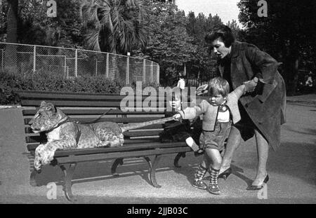 Una madre italiana tira indietro il figlio dal tirare la coda di un cucciolo di leone allo Zoo di Roma, il 1966 novembre. L'idea italiana di uno zoo di animali era un po' casual. Foto Stock