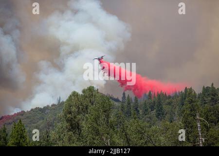 Mariposa County, California, 24 luglio 2022. Una petroliera d'aria antincendio cade ritardante mentre lavora per rallentare il fuoco di quercia nella contea di Mariposa, California, il 24 luglio 2022. Foto Stock