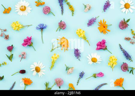 Motivo luminoso di fiori selvatici colorati su sfondo blu, come sfondo o texture. Primavera, estate carta da parati floreale per il tuo design. Vista dall'alto piatta Foto Stock