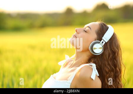 Ritratto laterale di una donna che medita la musica d'ascolto con le cuffie in un campo di grano Foto Stock